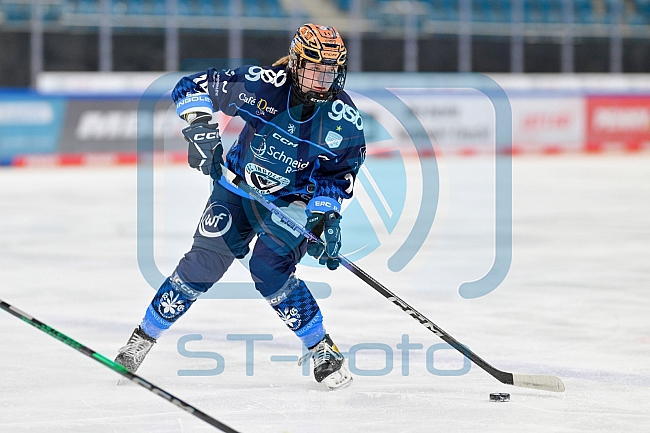 Eishockey, Frauen, DFEL, Saison 2024-2025, ERC Ingolstadt - ECDC Memmingen Indians, 16.11.2024