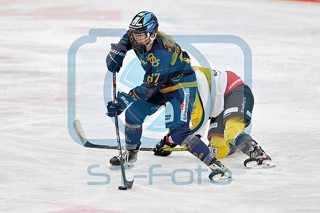 Eishockey, Frauen, DFEL, Saison 2022-2023, ERC Ingolstadt - Mad Dogs Mannheim, 20.11.2022