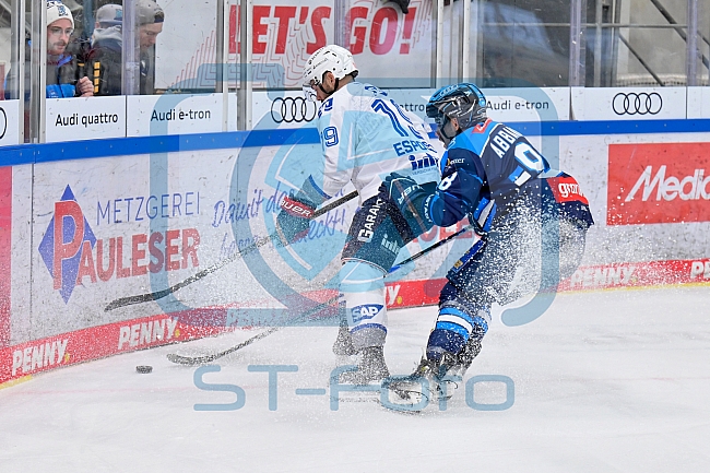 Eishockey, Herren, DEL, Saison 2025-2026, Spiel 14, ERC Ingolstadt - Adler Mannheim, 26.10.2025