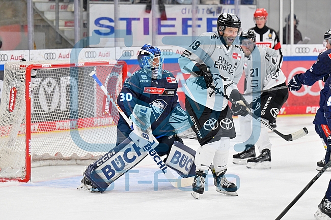 Eishockey, Herren, DEL, Saison 2024-2025, Playoffs Halbfinale, Spiel 5, ERC Ingolstadt - Kölner Haie, 11.04.2025
