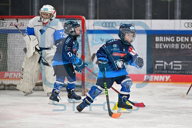 Eishockey, Herren, DEL, Saison 2024-2025, ERC Ingolstadt - Kids On Ice Day, 11.01.2025
