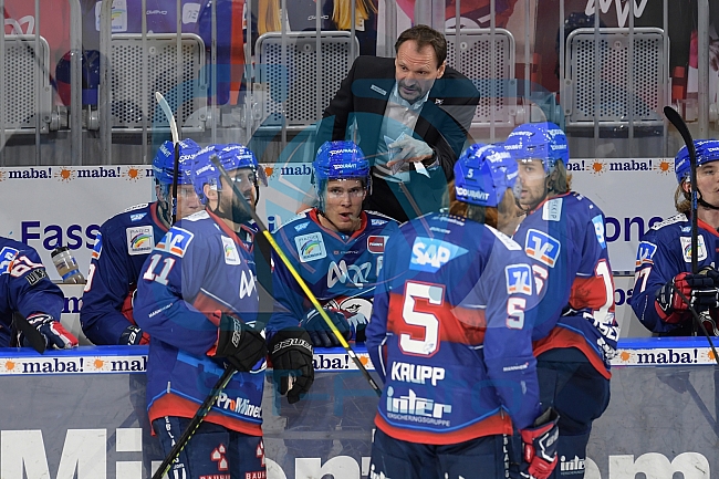 Eishockey, Herren, DEL, Saison 2020-2021, Adler Mannheim - ERC Ingolstadt, 24.01.2021