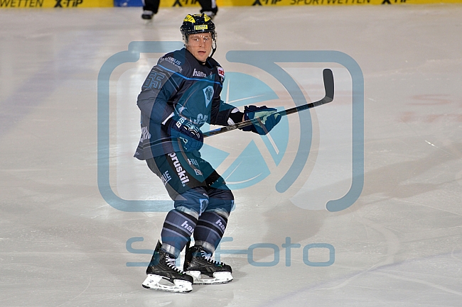ERC Ingolstadt vs Schwenninger Wild Wings, Eishockey, DEL, Deutsche Eishockey Liga, 22.01.2016