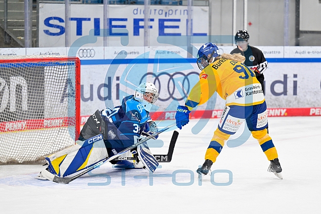 Eishockey, Frauen, DFEL, Saison 2025-2026, Testspiel, ERC Ingolstadt - HC Davos, 14.02.2026