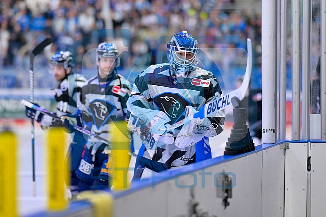 Eishockey, Herren, DEL, Saison 2024-2025, Playoffs Halbfinale, Spiel 3, ERC Ingolstadt - Kölner Haie, 06.04.2025