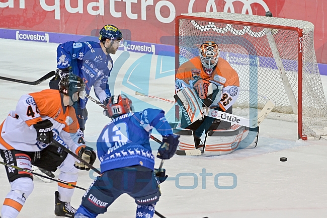 ERC Ingolstadt gegen Grizzlys Wolfsburg Pinguine am 21.12.2018, Spieltag 30