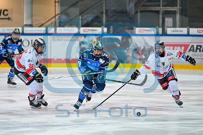 Eishockey, Frauen, DFEL, Saison 2023-2024, ERC Ingolstadt - ECDC Memmingen Indians, 21.01.2024