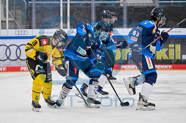 Eishockey, Herren, U20 DNL, Saison 2025-2026, ERC Ingolstadt - Krefeld Pinguine, 10.01.2026