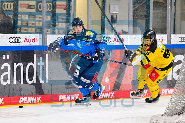 Eishockey, U20, DNL, Saison 2024-2025, ERC Ingolstadt - Krefelder EV 81, 01.03.2025