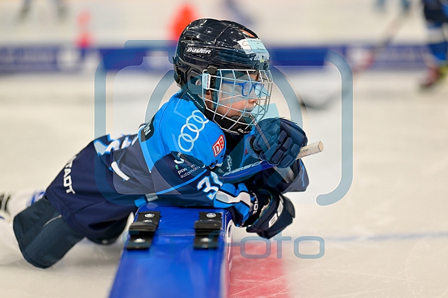 Eishockey, Saison 2025-2026, ERC Ingolstadt - Kids On Ice Day, 29.11.2025