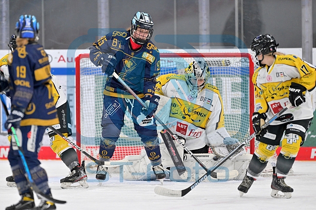 Eishockey, Frauen, DFEL, Saison 2022-2023, ERC Ingolstadt - Mad Dogs Mannheim, 19.11.2022
