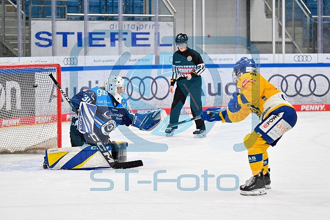 Eishockey, Frauen, DFEL, Saison 2025-2026, Testspiel, ERC Ingolstadt - HC Davos, 14.02.2026
