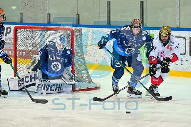 Eishockey, Frauen, DFEL, Saison 2024-2025, ERC Ingolstadt - HK Budapest Roster, 12.01.2025