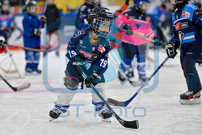 Eishockey, Saison 2025-2026, ERC Ingolstadt - Kids On Ice Day, 10.01.2026