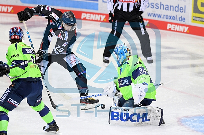 Eishockey, Herren, DEL, Saison 2020-2021, Straubing Tigers - ERC Ingolstadt, 31.01.2021
