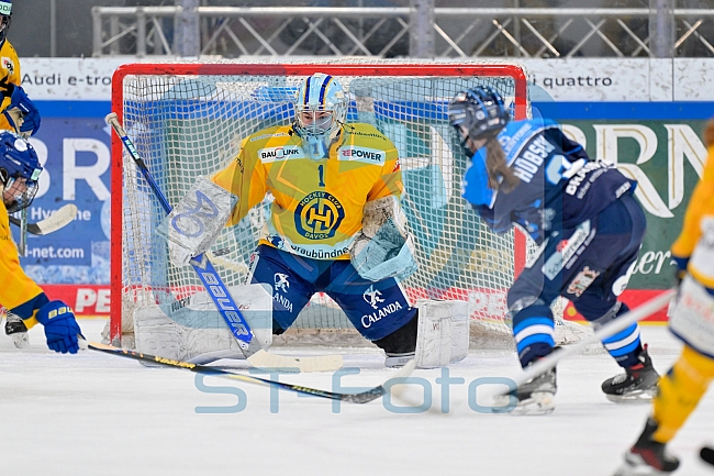 Eishockey, Frauen, DFEL, Saison 2025-2026, Testspiel, ERC Ingolstadt - HC Davos, 14.02.2026
