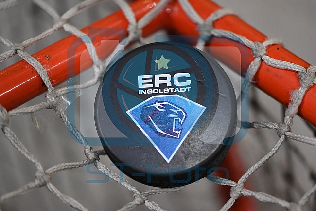 ERC Ingolstadt vs Adler Mannheim, Eishockey, DEL, Deutsche Eishockey Liga, Spieltag 46, 10.02.2017
