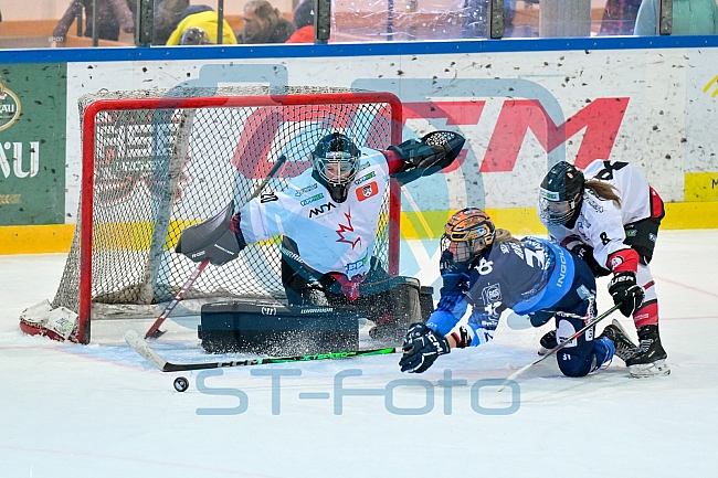 Eishockey, Frauen, DFEL, Saison 2024-2025, ERC Ingolstadt - HK Budapest Roster, 12.01.2025