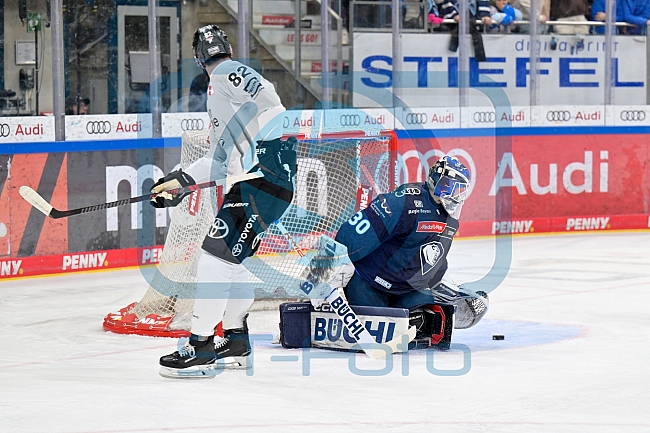 Eishockey, Herren, DEL, Saison 2024-2025, Playoffs Halbfinale, Spiel 5, ERC Ingolstadt - Kölner Haie, 11.04.2025
