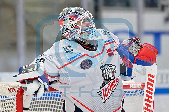 Eishockey, Herren, DEL, Saison 2025-2026, Spiel 47, ERC Ingolstadt - Nürnberg Ice Tigers, 01.03.2026