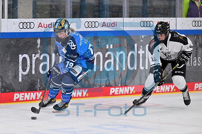 Eishockey, Frauen, DFEL, Saison 2023-2024, ERC Ingolstadt - Amsterdam Tigers, 06.01.2024