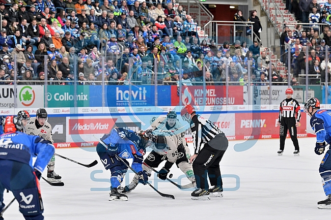 Eishockey, Herren, DEL, Saison 2023-2024, PrePlayoffs - Spiel 1, ERC Ingolstadt - Kölner Haie, 10.03.2024