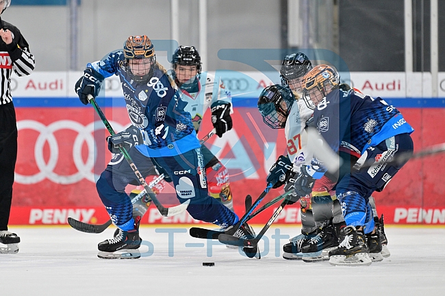 Eishockey, Frauen, DFEL, Saison 2024-2025, ERC Ingolstadt - EC Bergkamener Bären, 12.10.2024