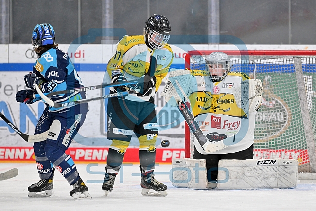 Eishockey, Frauen, DFEL, Halbfinale, Saison 2022-2023, ERC Ingolstadt - Mad Dogs Mannheim, 25.02.2023