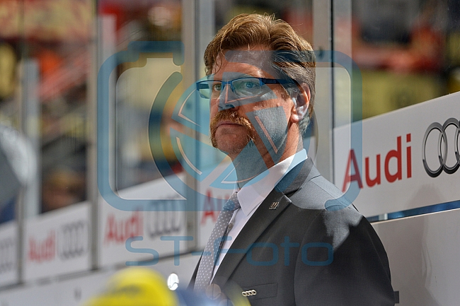 ERC Ingolstadt vs Schwenninger Wild Wings, Eishockey, DEL, Deutsche Eishockey Liga, 20.11.2015