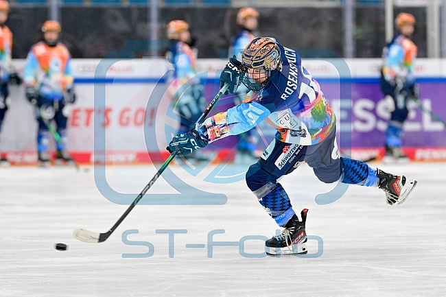 Eishockey, Frauen, DFEL, Saison 2024-2025, ERC Ingolstadt - ECDC Memmingen Indians, 16.11.2024