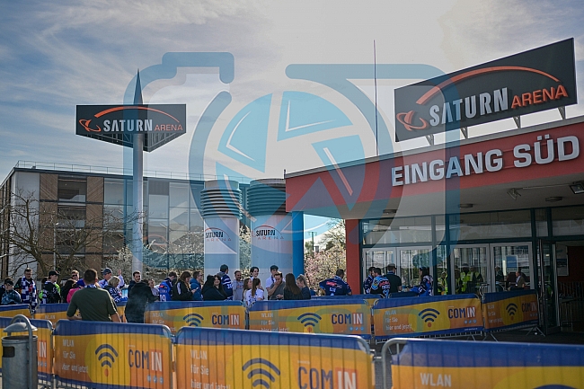 Eishockey, Herren, DEL, Saison 2024-2025, Playoffs Halbfinale, Spiel 5, ERC Ingolstadt - Kölner Haie, 11.04.2025