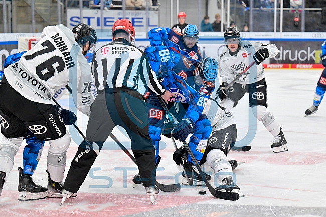Eishockey, Herren, DEL, Saison 2025-2026, Spiel 16, ERC Ingolstadt - Kölner Haie, 31.10.2025