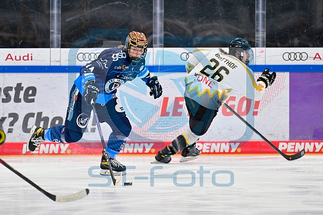 Eishockey, Frauen, DFEL, Saison 2024-2025, ERC Ingolstadt - Mad Dogs Mannheim, 23.11.2024