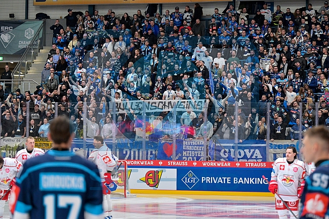 Hockey, Mens, CHL, Season 2025-2026, Regular Season, Round of 16, ERC Ingolstadt - EC Red Bull Salzburg, 12.11.2025
