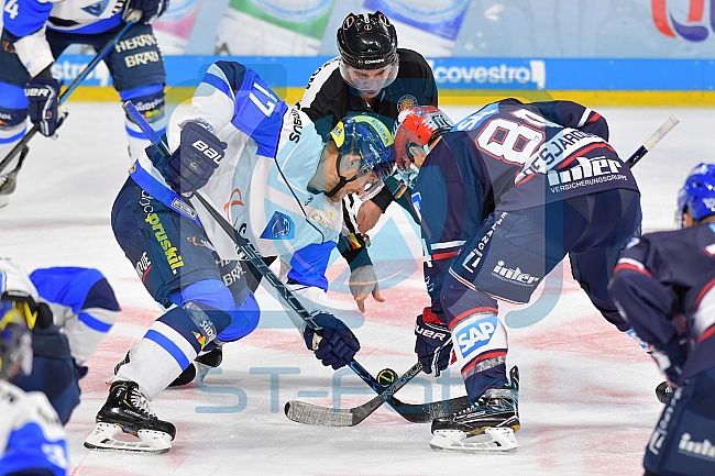 Adler Mannheim vs ERC Ingolstadt, Eishockey, DEL, Deutsche Eishockey Liga, Spieltag 28, 16.12.2018