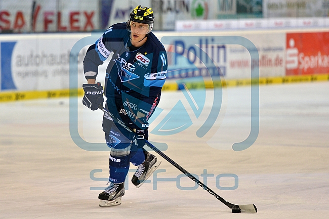 ERC Ingolstadt vs Hamburg Freezers, Eishockey, DEL, Deutsche Eishockey Liga, 10.01.2016