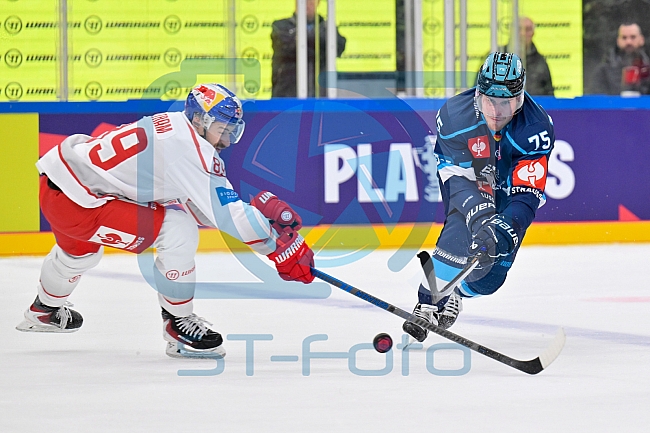 Hockey, Mens, CHL, Season 2025-2026, Regular Season, Round of 16, ERC Ingolstadt - EC Red Bull Salzburg, 12.11.2025