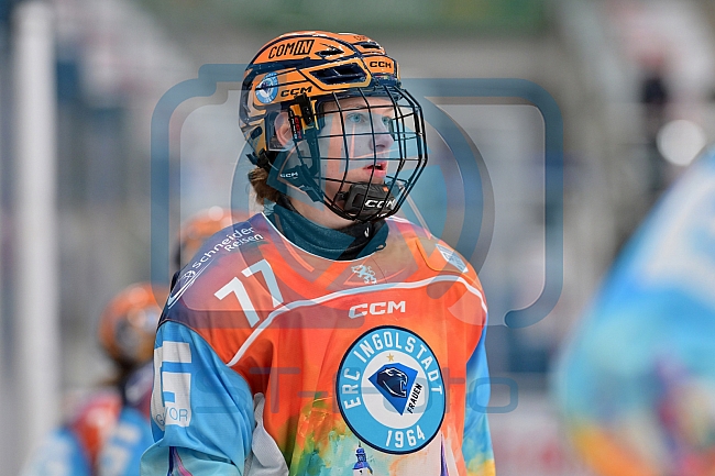 Eishockey, Frauen, DFEL, Saison 2024-2025, ERC Ingolstadt - EC Bergkamener Bären, 04.01.2025