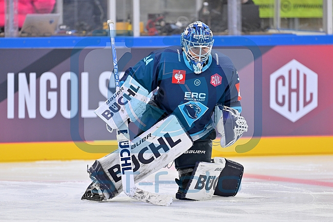 Eishockey, Mens, CHL, Season 2023-2024, ERC Ingolstadt - Växjö Lakers, 14.11.2023