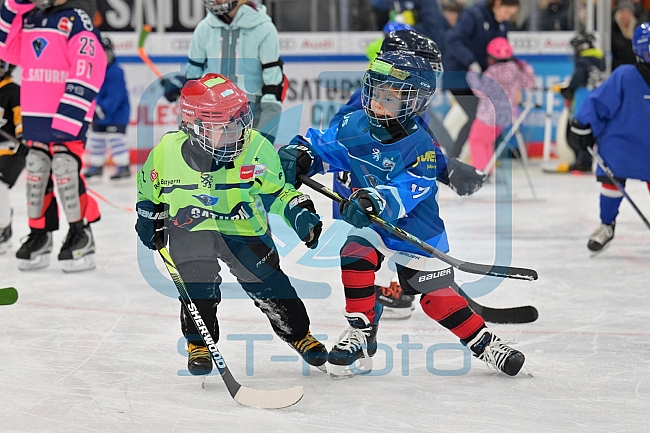 Eishockey, Herren, DEL, Saison 2022-2023, ERC Ingolstadt - Kids On Ice Day, 19.11.2022