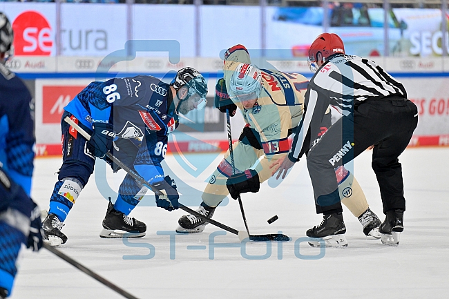 Eishockey, Herren, DEL, Saison 2024-2025, Playoffs Viertelfinale, Spiel 1, ERC Ingolstadt - Nürnberg Ice Tigers, 16.03.2025