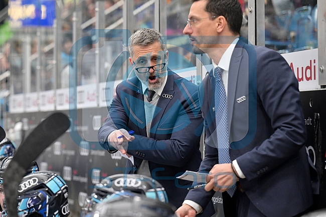 Eishockey, Herren, DEL, Saison 2022-2023, Playoff-Viertelfinale - Spiel 1, ERC Ingolstadt - Düsseldorfer EG, 15.03.2023