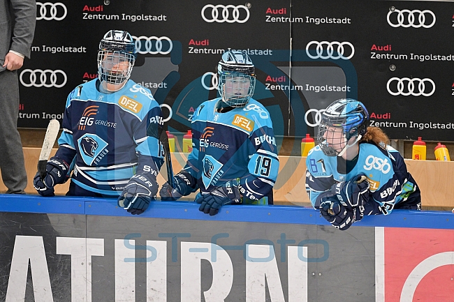 Eishockey, Frauen, DFEL, Saison 2022-2023, ERC Ingolstadt - ECDC Memmingen Indians , 27.11.2022