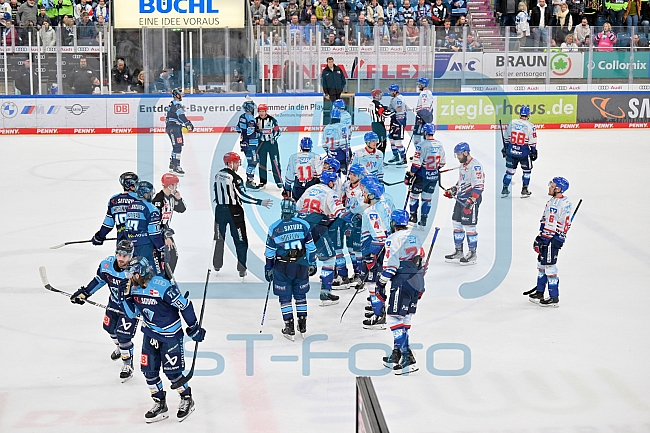 Eishockey, Herren, DEL, Saison 2022-2023, Playoff-Halbfinale - Spiel 1, ERC Ingolstadt - Adler Mannheim, 31.03.2023