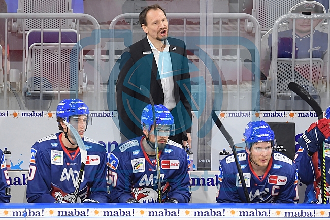 Eishockey, Herren, DEL, Saison 2020-2021, Adler Mannheim - ERC Ingolstadt, 15.02.2021
