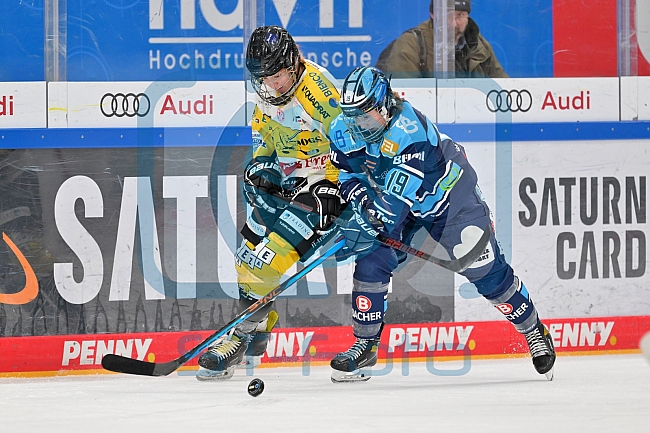 Eishockey, Frauen, DFEL, Halbfinale, Saison 2022-2023, ERC Ingolstadt - Mad Dogs Mannheim, 25.02.2023