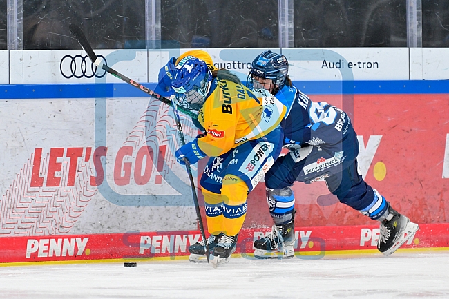 Eishockey, Frauen, DFEL, Saison 2025-2026, Testspiel, ERC Ingolstadt - HC Davos, 14.02.2026