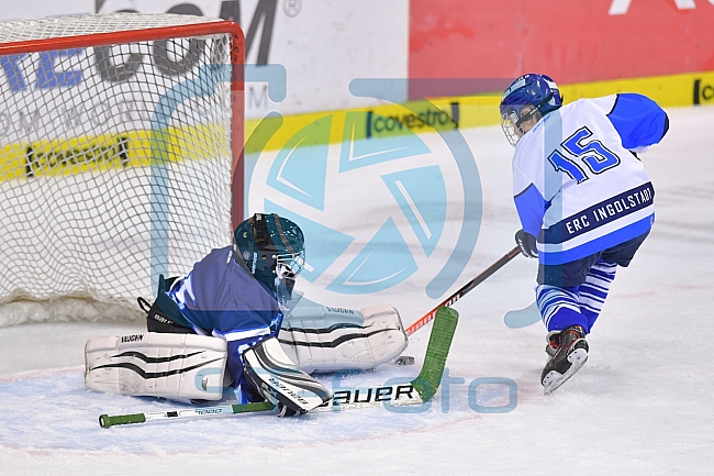 ERC Ingolstadt vs Iserlohn Roosters, DEL, Deutsche Eishockey Liga, Spieltag 39, 13.01.2019