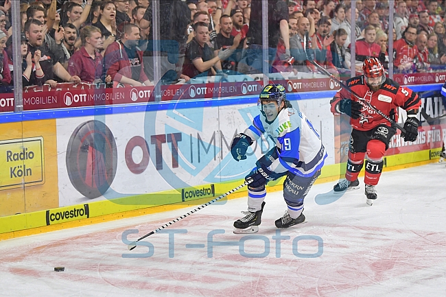 Koelner Haie vs ERC Ingolstadt, DEL, Deutsche Eishockey Liga, Playoffs, Viertelfinale, Spiel 7, 31.03.2019