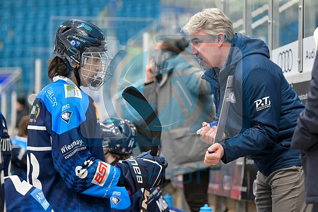 Eishockey, Herren, U20 DNL, Saison 2025-2026, ERC Ingolstadt - Jungadler Mannheim, 24.01.2026